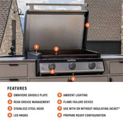 Blackstone 28-Inch Drop-in Griddle with Hood | GW STORE