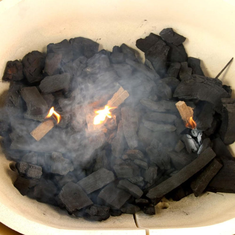 Primo PG00609 Quick Lights Firestarters - 24 Piece Box