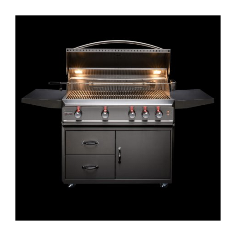Blaze Professional 44-Inch 4 Burner Built-In Gas Grill With Rear Infrared Burner