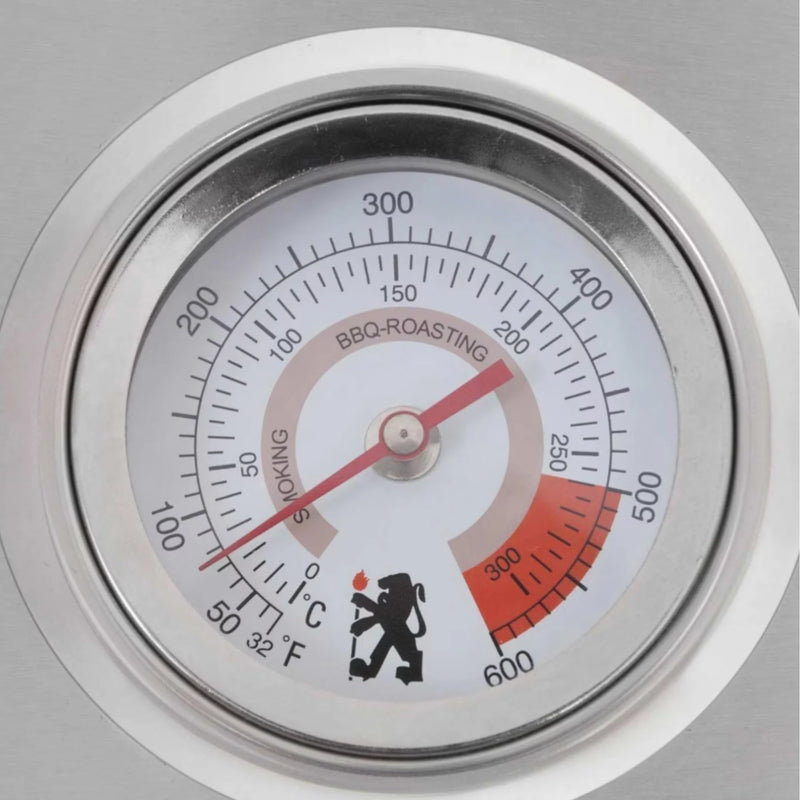 Lion L60000 32-Inch 4-Burner Stainless Steel Built-In Natural Gas Grill