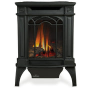 Napoleon Arlington™ Direct Vent Stove, Natural Gas, Electronic Ignition - Black | GW STORE