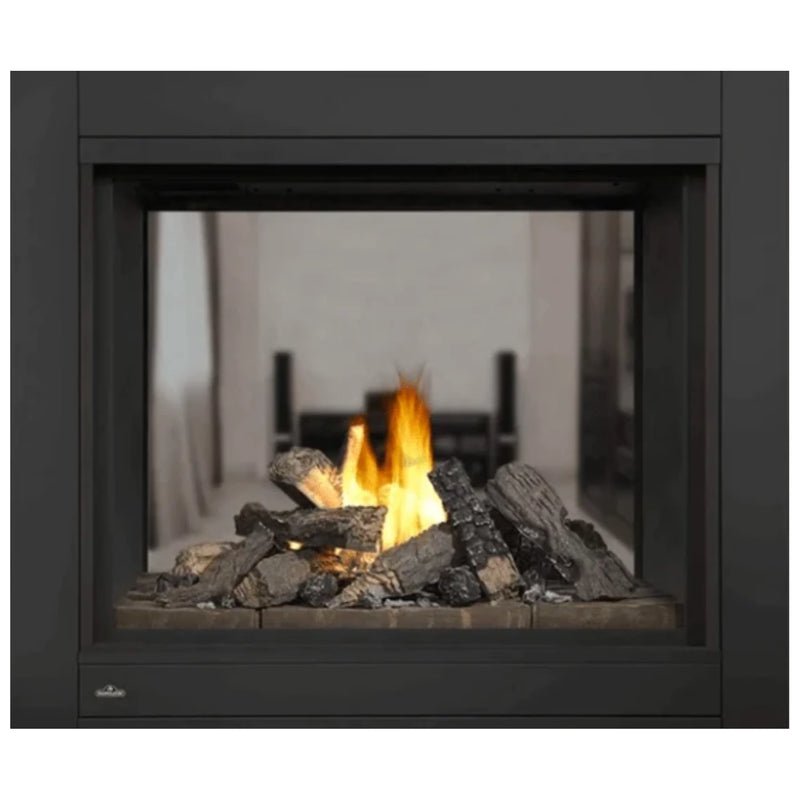 Napoleon Ascent™ Multi-View Natural Gas See Through Direct Vent Fireplace with Electronic Ignition | GW STORE