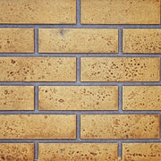 Napoleon Decorative Panels : Sandstone Standard Brick for Ascent™ 46 | GW STORE