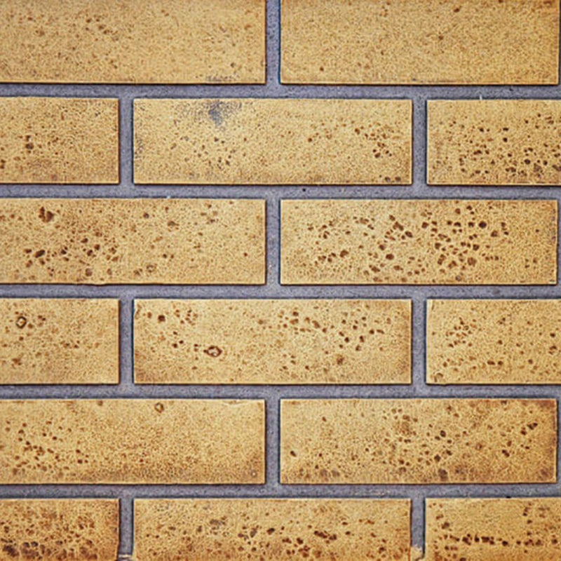 Napoleon Decorative Panels : Sandstone Standard Brick for Ascent™ 46 | GW STORE