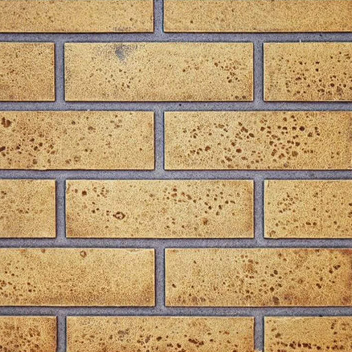 Napoleon Decorative Panels : Sandstone Standard Brick for Ascent™ X 42 | GW STORE