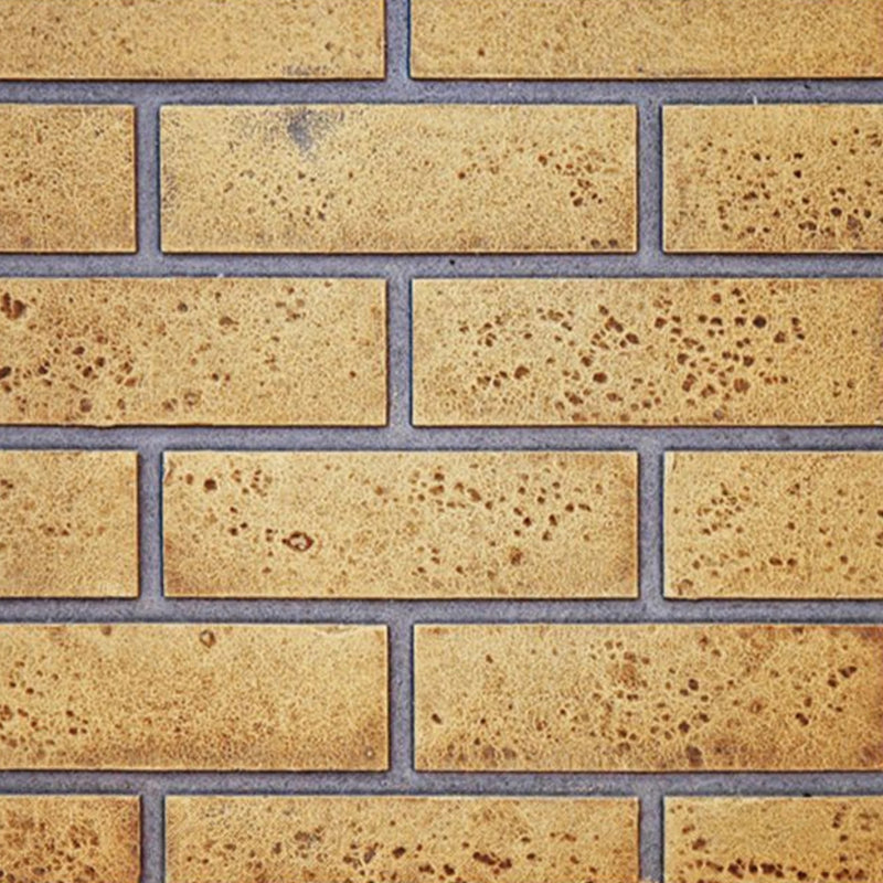 Napoleon Decorative Panels Sandstone Standard Brick for Knightsbridge™  | GW STORE