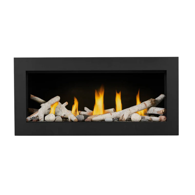 Napoleon Vector™ 38 Natural Gas Direct Vent Fireplace - Electronic Ignition | GW STORE