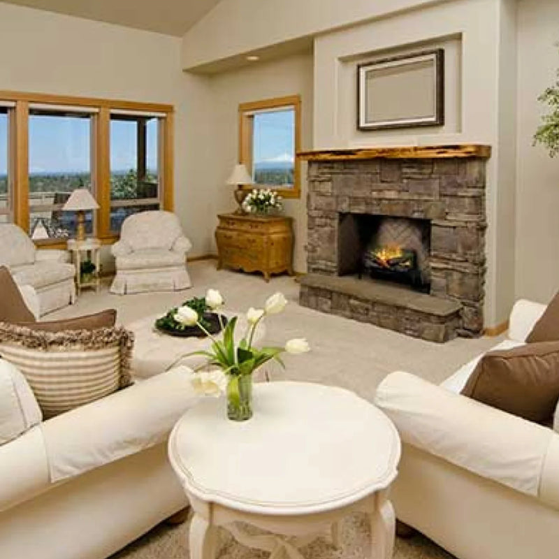 Dimplex Revillusion 20 Inch Electric Fireplace Log Set | GW STORE