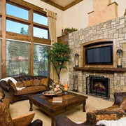 Dimplex Deluxe 23 Inch Log Set Electric Fireplace Insert | GW STORE