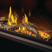 Napoleon Vector 62 Direct Vent Electronic Ignition Fireplace - Natural Gas  | GW STORE