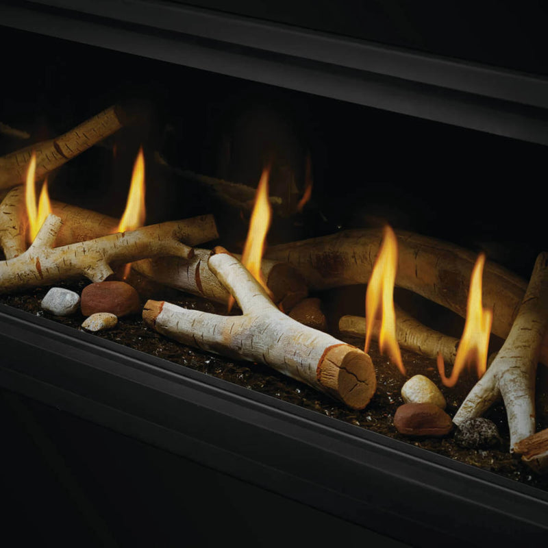 Napoleon Luxuria 50 Direct Vent Gas Fireplace | GW STORE