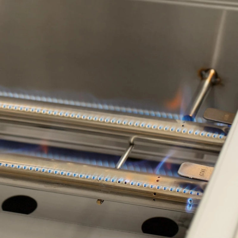 DCS Series 9 48-Inch Built-In Gas Grill w/ Charcoal Somker Box | GW STORE