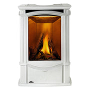 Napoleon Castlemore™ Direct Vent Stove, Natural Gas, Electronic Ignition | GW STORE