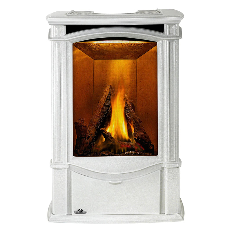 Napoleon Castlemore™ Direct Vent Stove, Natural Gas, Electronic Ignition | GW STORE