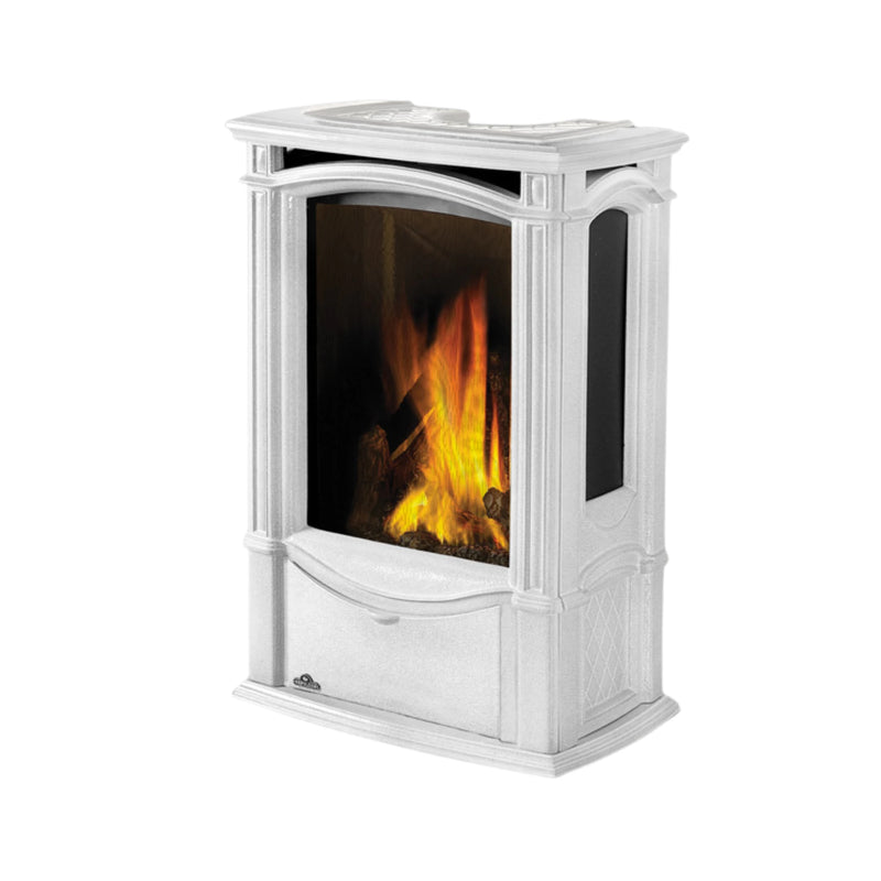 Napoleon Castlemore™ Direct Vent Stove, Natural Gas, Electronic Ignition | GW STORE