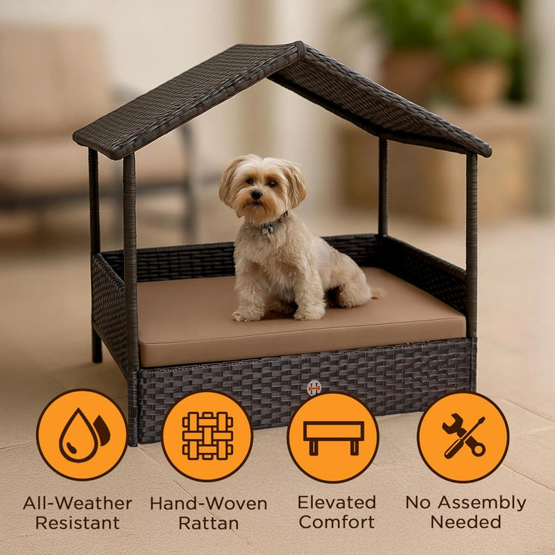Huntley Pet Rattan Wicker Cabana Raised Pet Bed | GW STORE