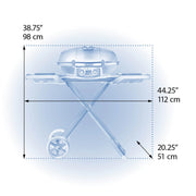 Napoleon TravelQ 285X Portable Freestanding Propane Gas Grill w/ Griddle | GW STORE