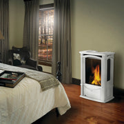 Napoleon Castlemore™ Direct Vent Stove, Natural Gas, Electronic Ignition | GW STORE