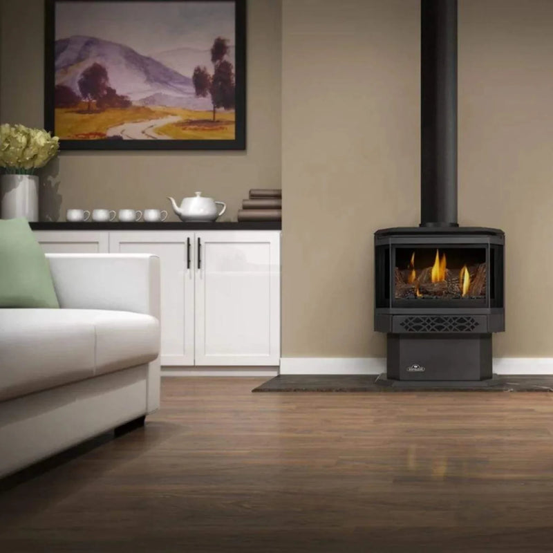 Haliburton™ Direct Vent Stove Natural Gas | GW STORE