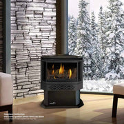 Haliburton™ Direct Vent Stove Natural Gas | GW STORE