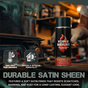 Stove Bright High Temperature Paint Nuke Color | GW STORE
