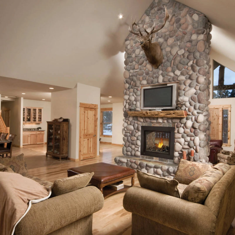 Napoleon Ascent™ Multi-View Natural Gas See Through Direct Vent Fireplace with Electronic Ignition | GW STORE