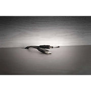 Napoleon The Charlotte Electric Fireplace Media Console | GW STORE