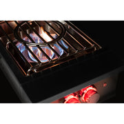 TrueFlame Power Burner | GW STORE