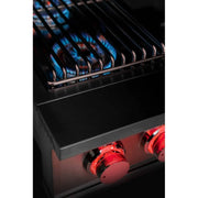 TrueFlame Double Side Burner | GW STORE