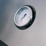 TrueFlame TFE 25-Inch Built-In Gas Grill | GW STORE