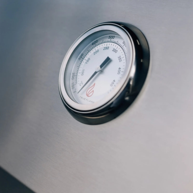 TrueFlame TFE 25-Inch Built-In Gas Grill | GW STORE