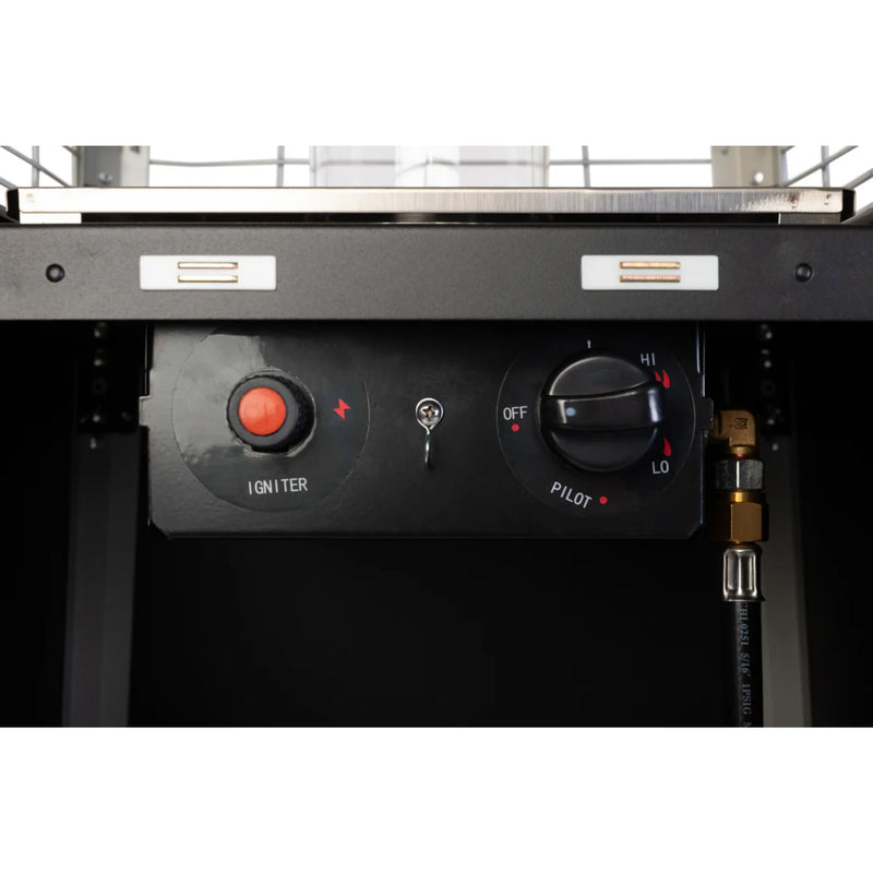 Well Traveled Living Coronado Brushed Bronze Pyramid Flame Propane Patio Heater | GW STORE