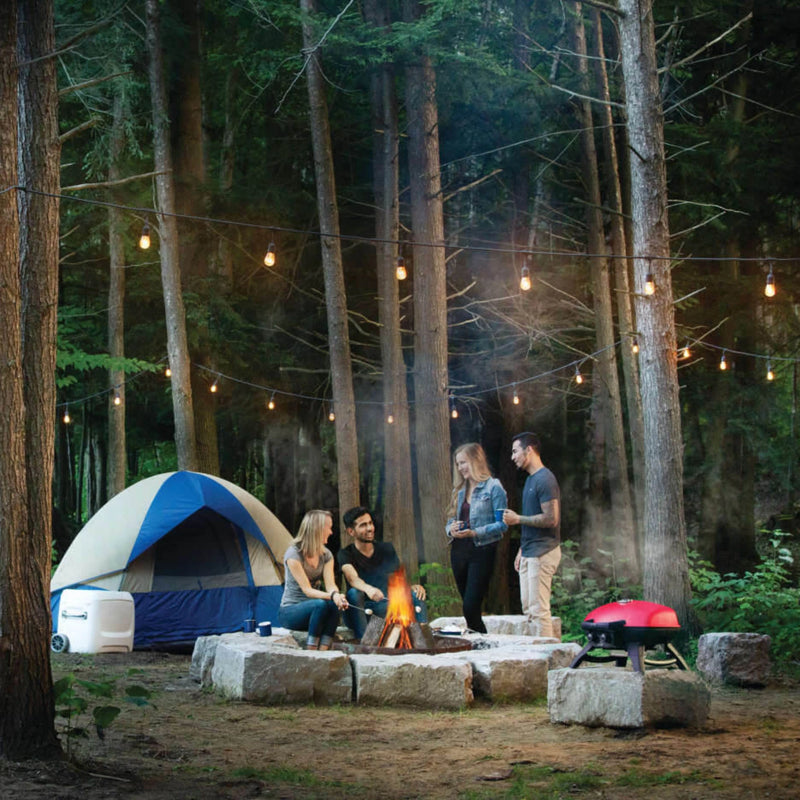 Napoleon TravelQ 285 Portable Propane Gas Grill w/ Griddle | GW STORE