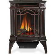Napoleon Arlington™ Direct Vent Stove, Natural Gas, Electronic Ignition - Black | GW STORE