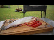 Tagwood BBQ03SI Freestanding Santa Maria Argentine Charcoal Grill | GW STORE