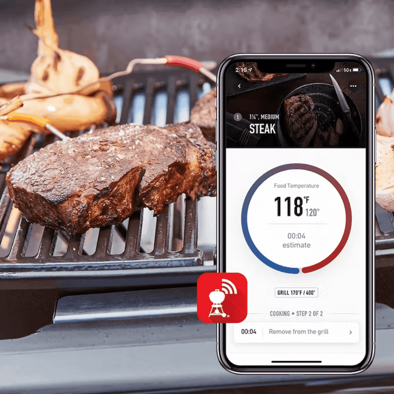 Weber Pulse 2000 Electric Grill